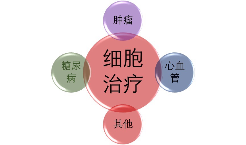 2020-2026年細(xì)胞治療行業(yè)深度調(diào)研及投資前景預(yù)測報(bào)告(圖1)