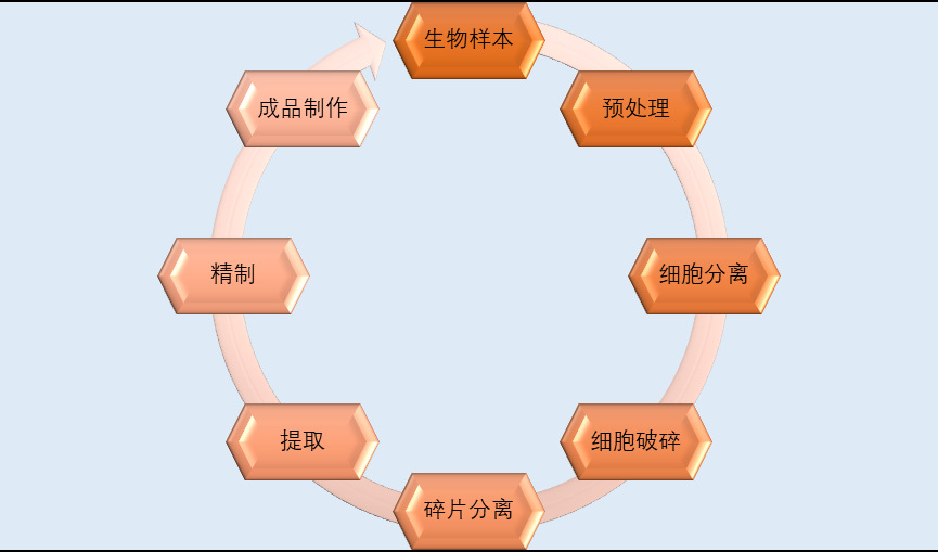 2020-2026年中國生物科學儀器行業(yè)投資前景專項報告(圖1)